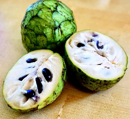 Cocoplum Fruit